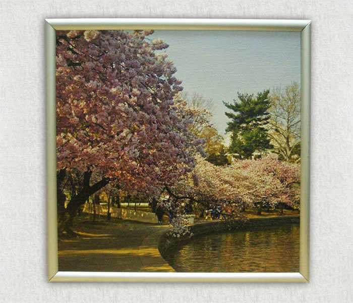 Catalog image